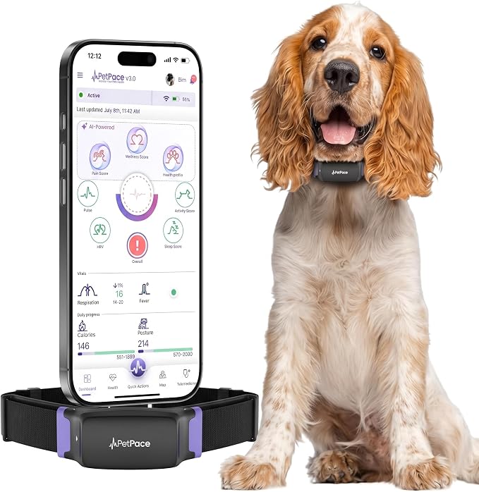 PetPace V3.0 Dog Health Monitor AI Health Collar with 24/7 Vital Signs - Medium